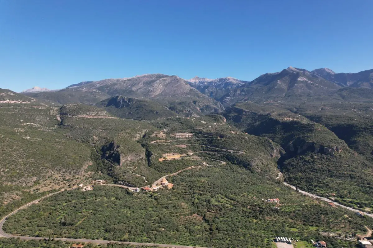 Aerial view of olive groves across the Mani landscape